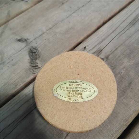 Vintage Real Scorpion Insect Dome 3.5" Paperweight Taxidermy from Maack Co. - Picture 6 of 7